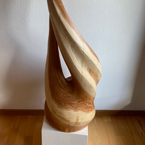 Thuja Baum, 35x120cm