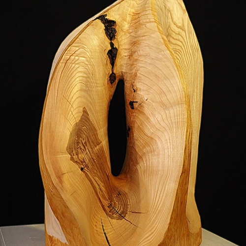 Entfaltung, Esche, 65x50x30cm