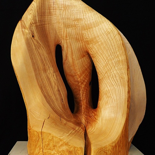 Entfaltung, Esche, 65x50x30cm