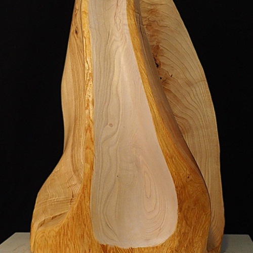 Entfaltung, Esche, 65x50x30cm